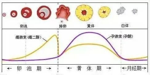 泰国第三代试管婴儿